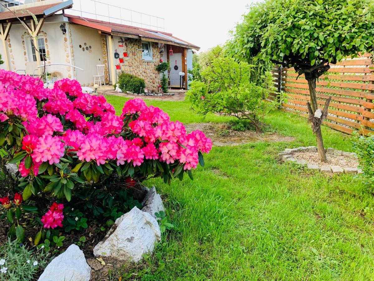 Apartament Rodzinny Z Ogrodem 切申 外观 照片